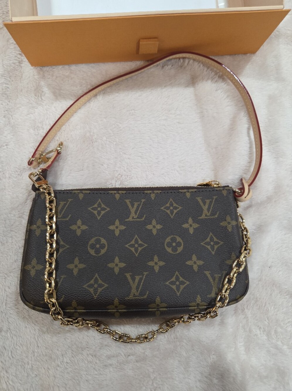 Louis Vuitton Monogram Pochette Accesories